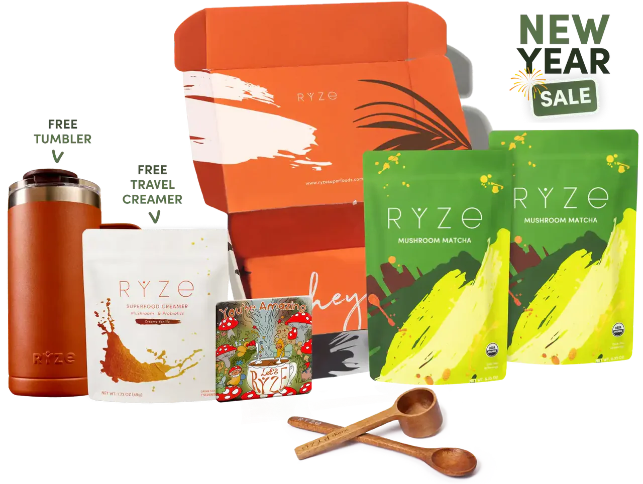 Starter Kit Fresh M6A67