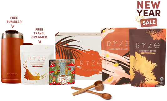 Lasting Energy Bundle Original M6A10