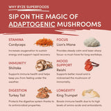 Mushroom Chai Select M6A88